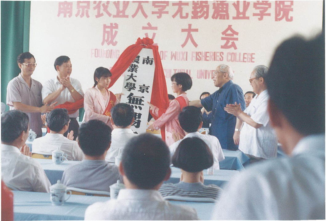 931EF