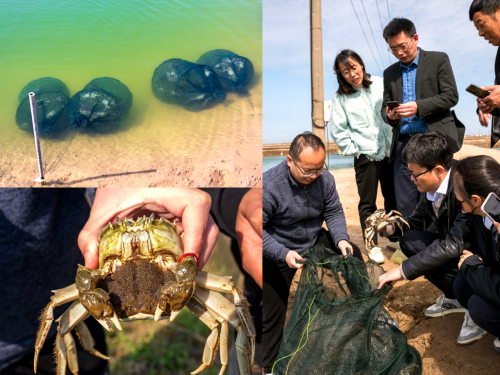 FFRC Held A Seminar On Ecological And Healthy Aquaculture Of High 